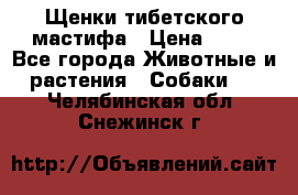 Щенки тибетского мастифа › Цена ­ 80 - Все города Животные и растения » Собаки   . Челябинская обл.,Снежинск г.